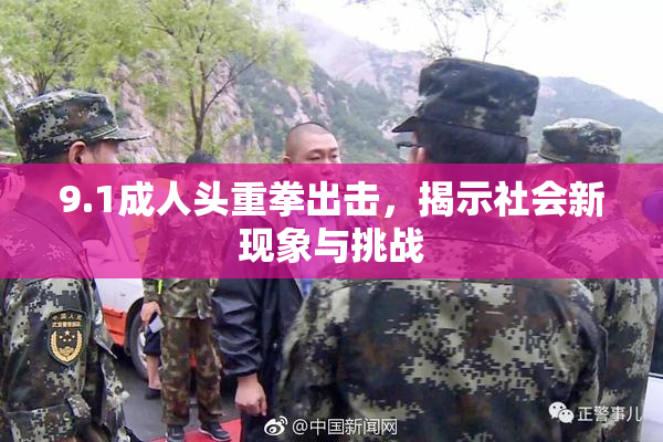 9.1成人头重拳出击，揭示社会新现象与挑战