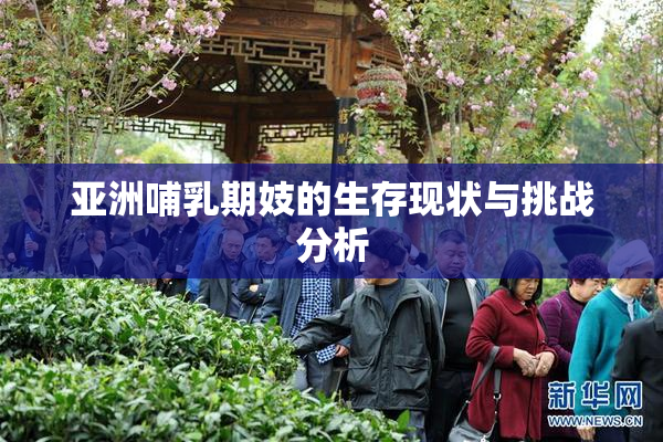 亚洲哺乳期妓的生存现状与挑战分析
