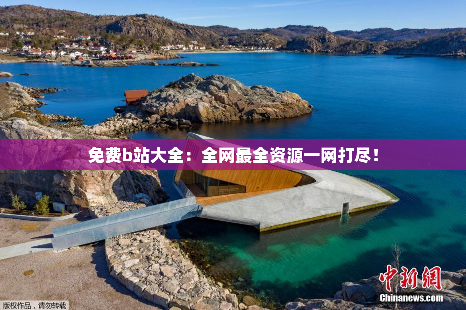 免费b站大全：全网最全资源一网打尽！