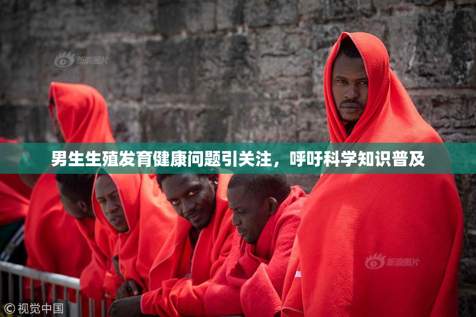 男生生殖发育健康问题引关注，呼吁科学知识普及