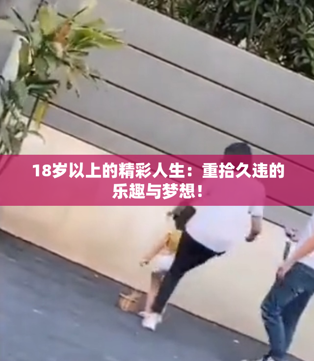 18岁以上的精彩人生：重拾久违的乐趣与梦想！