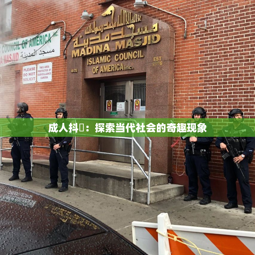 成人抖抈：探索当代社会的奇趣现象