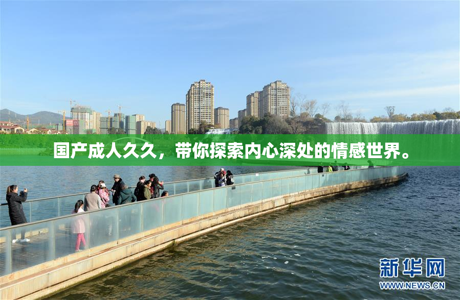 国产成人久久，带你探索内心深处的情感世界。