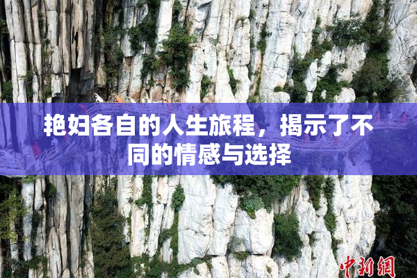 艳妇各自的人生旅程，揭示了不同的情感与选择