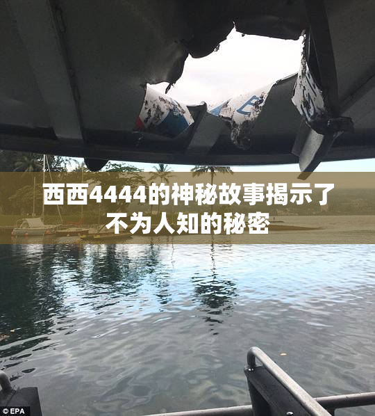 西西4444的神秘故事揭示了不为人知的秘密