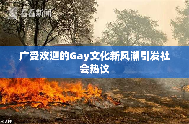 广受欢迎的Gay文化新风潮引发社会热议
