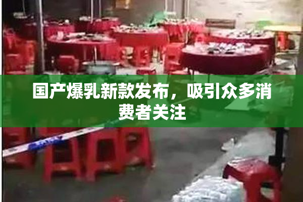 国产爆乳新款发布，吸引众多消费者关注