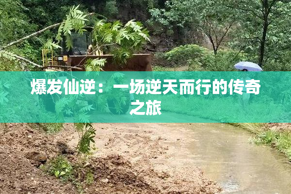 爆发仙逆：一场逆天而行的传奇之旅