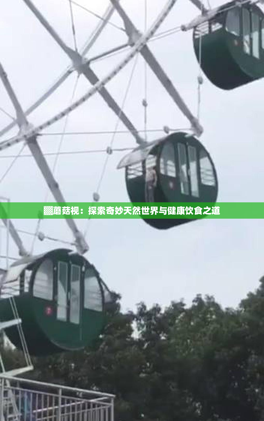 ▓蘑菇视：探索奇妙天然世界与健康饮食之道