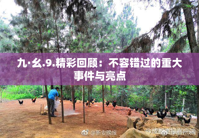 九·幺.9.精彩回顾：不容错过的重大事件与亮点