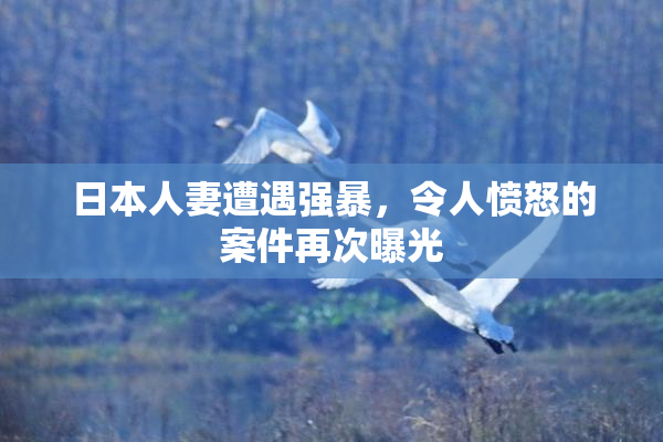 日本人妻遭遇强暴，令人愤怒的案件再次曝光