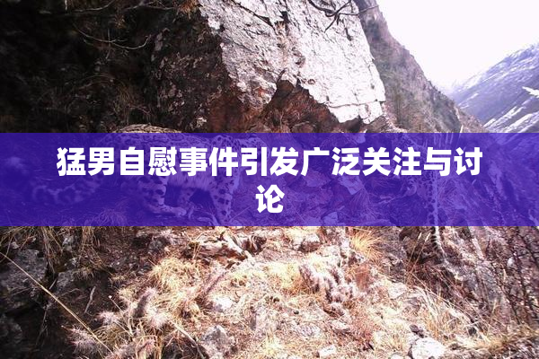 猛男自慰事件引发广泛关注与讨论