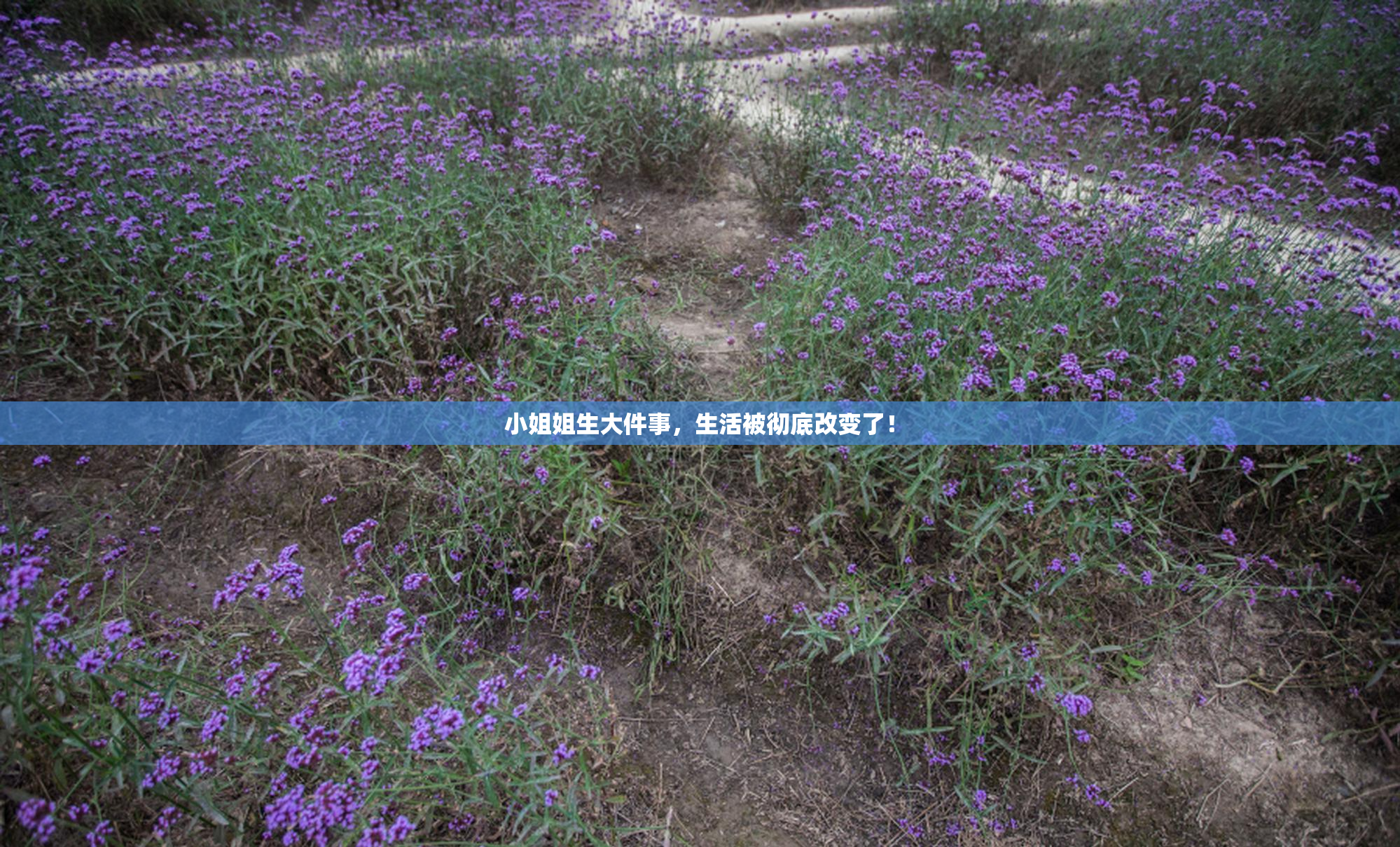 小姐姐生大件事，生活被彻底改变了！