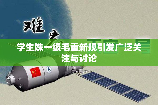 学生姝一级毛重新规引发广泛关注与讨论