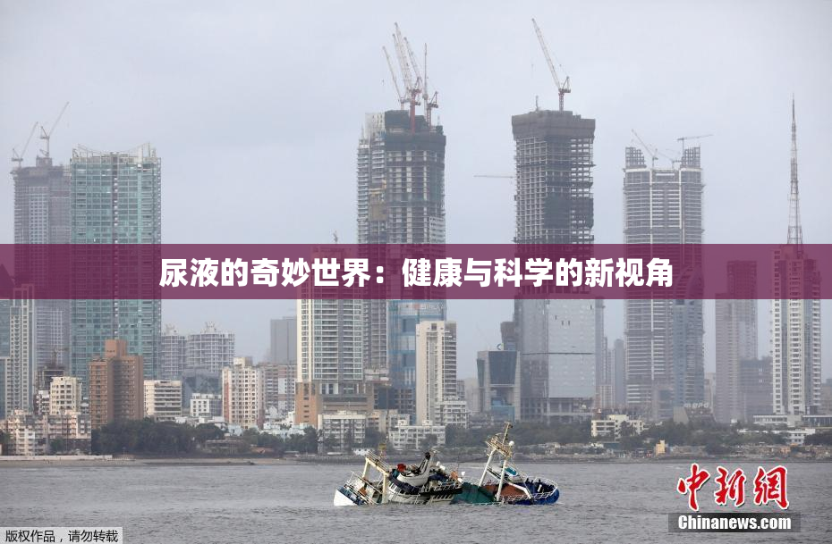 尿液的奇妙世界：健康与科学的新视角