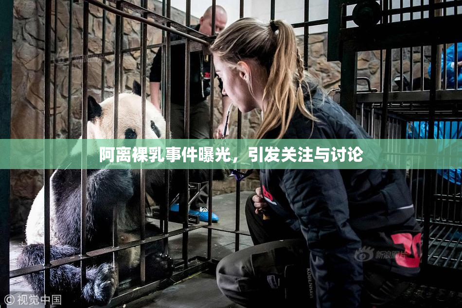 阿离裸乳事件曝光，引发关注与讨论