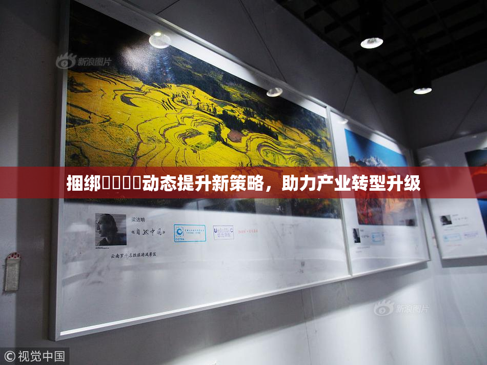 捆绑❌‌❌‌动态提升新策略，助力产业转型升级