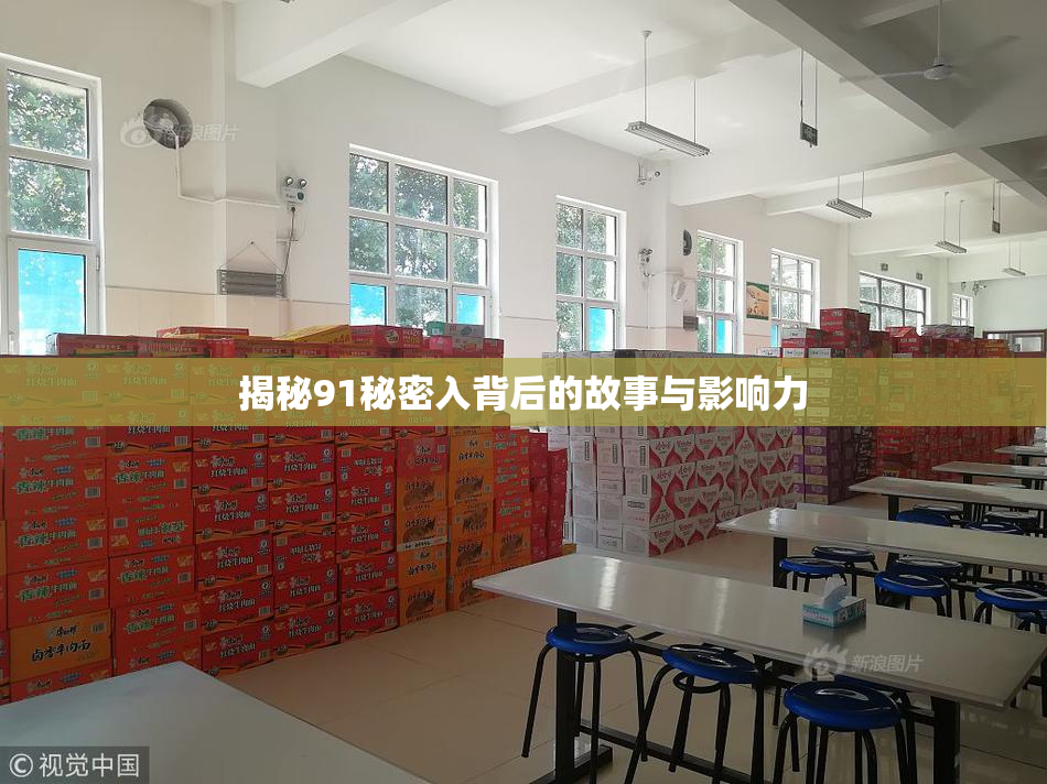 揭秘91秘密入背后的故事与影响力