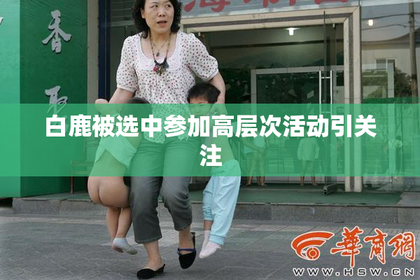白鹿被选中参加高层次活动引关注