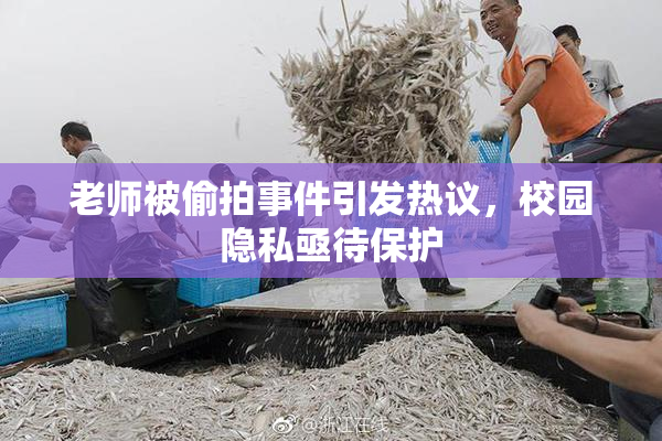 老师被偷拍事件引发热议，校园隐私亟待保护