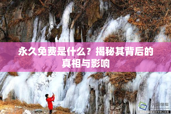 永久免费是什么？揭秘其背后的真相与影响