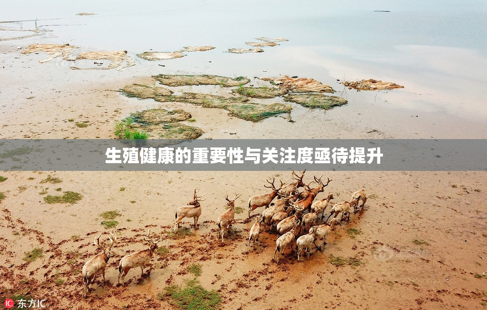 生殖健康的重要性与关注度亟待提升