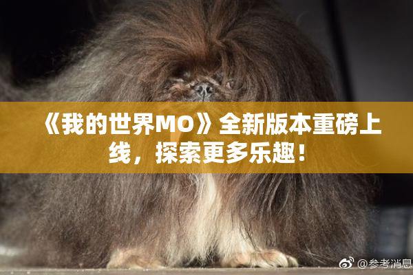 《我的世界MO》全新版本重磅上线，探索更多乐趣！