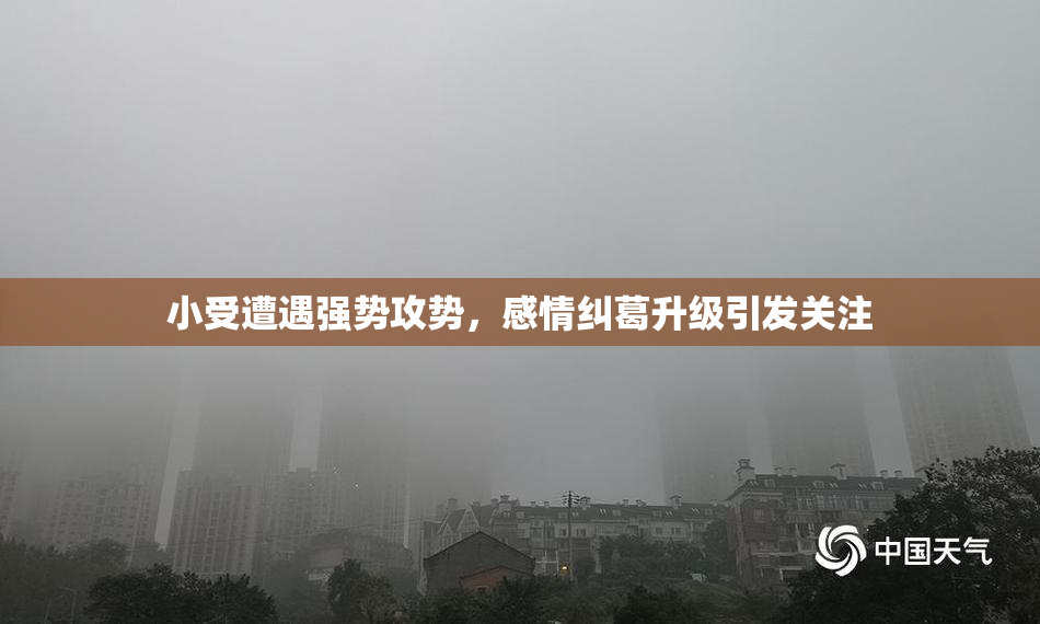小受遭遇强势攻势，感情纠葛升级引发关注