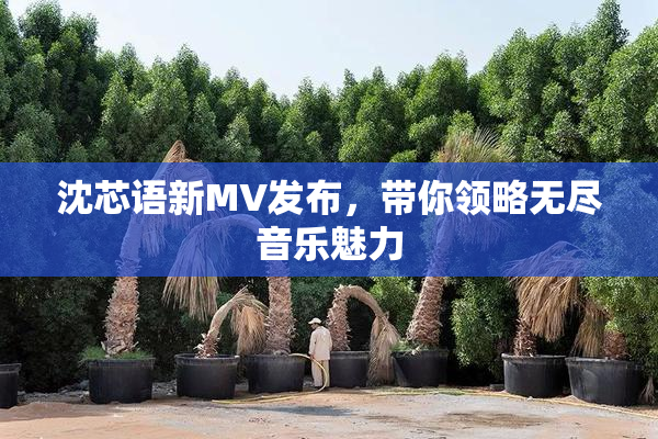 沈芯语新MV发布，带你领略无尽音乐魅力
