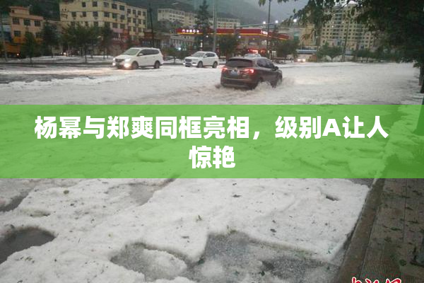 杨幂与郑爽同框亮相，级别A让人惊艳