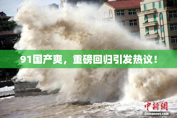 91国产爽，重磅回归引发热议！