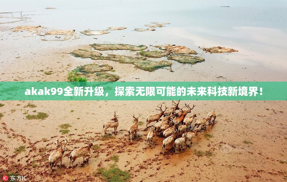akak99全新升级，探索无限可能的未来科技新境界！