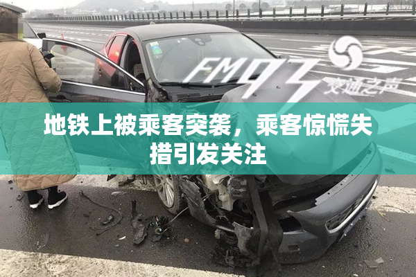 地铁上被乘客突袭，乘客惊慌失措引发关注