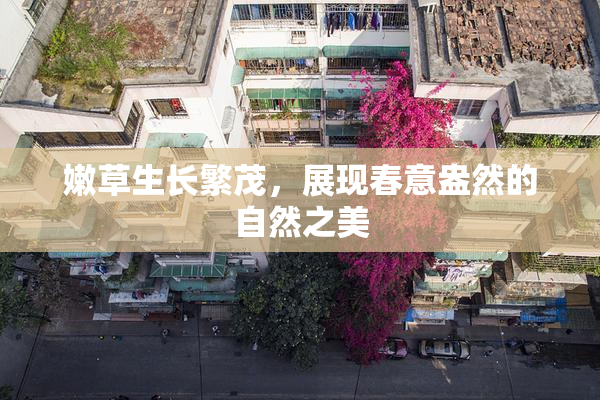 嫩草生长繁茂，展现春意盎然的自然之美