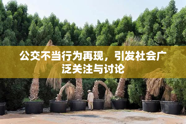 公交不当行为再现，引发社会广泛关注与讨论