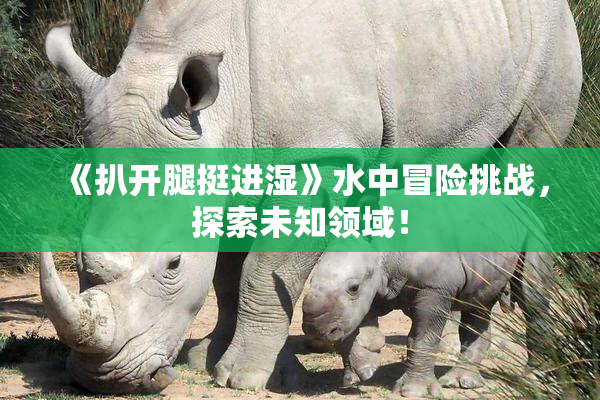 《扒开腿挺进湿》水中冒险挑战，探索未知领域！