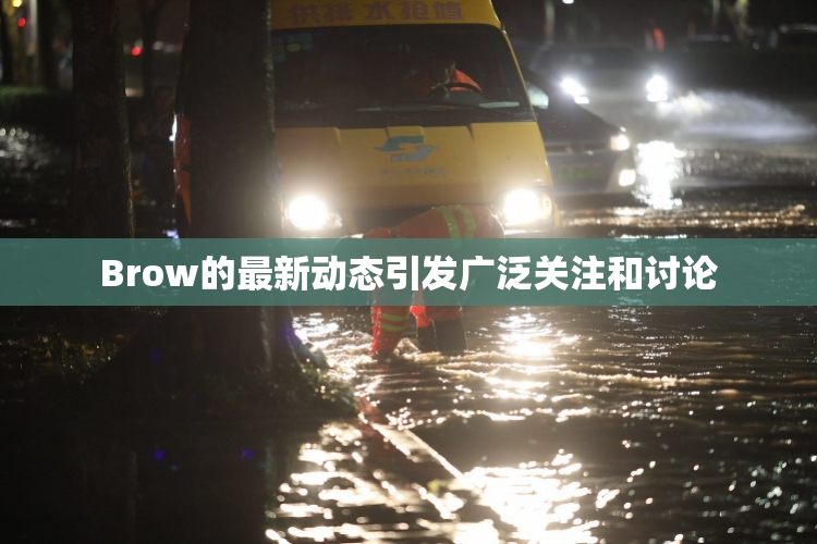 Brow的最新动态引发广泛关注和讨论