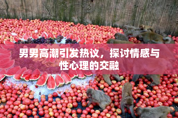男男高潮引发热议，探讨情感与性心理的交融