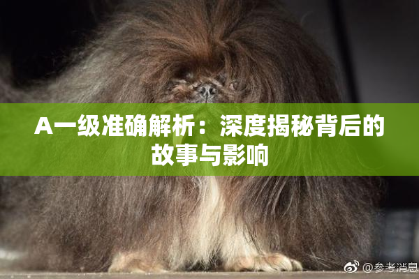 A一级准确解析：深度揭秘背后的故事与影响