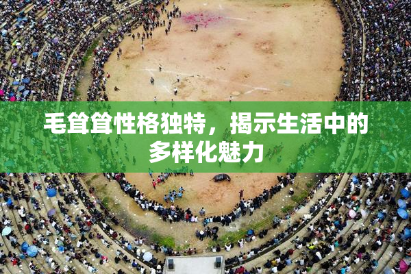 毛耸耸性格独特，揭示生活中的多样化魅力