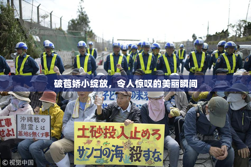 破苞娇小绽放，令人惊叹的美丽瞬间