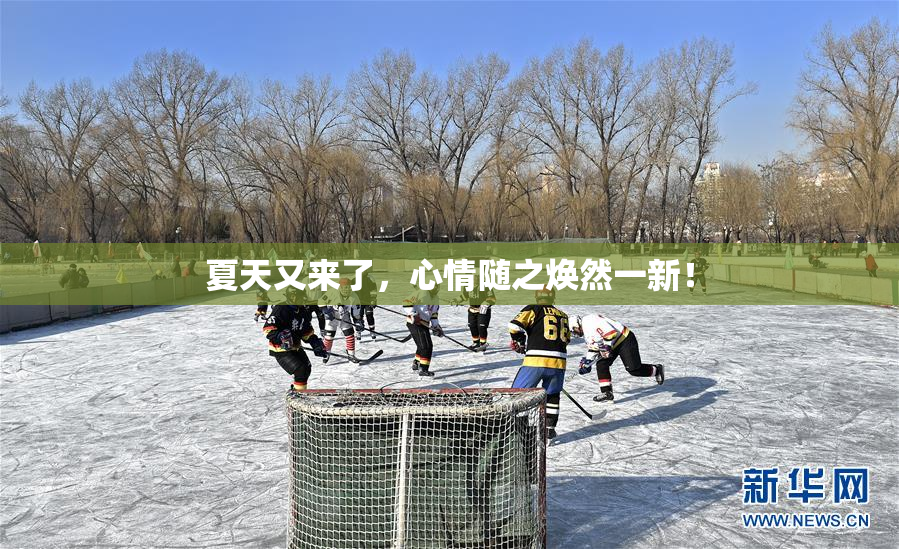 夏天又来了，心情随之焕然一新！