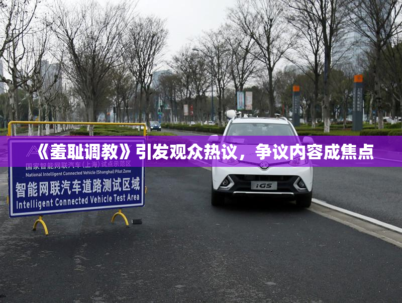 《羞耻调教》引发观众热议，争议内容成焦点