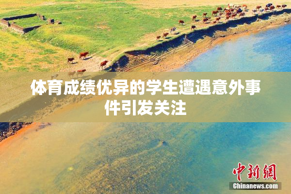 体育成绩优异的学生遭遇意外事件引发关注