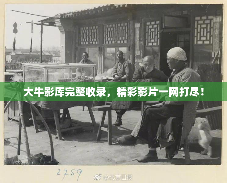 大牛影库完整收录，精彩影片一网打尽！