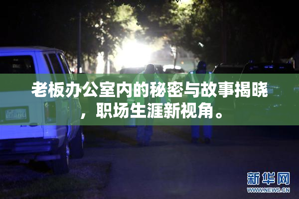 老板办公室内的秘密与故事揭晓，职场生涯新视角。