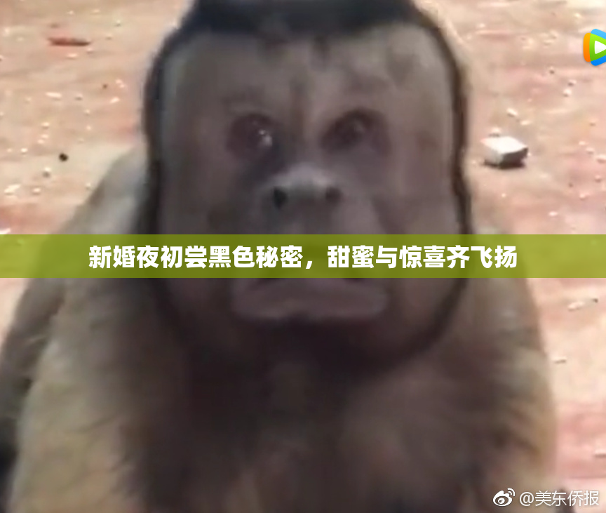 新婚夜初尝黑色秘密，甜蜜与惊喜齐飞扬