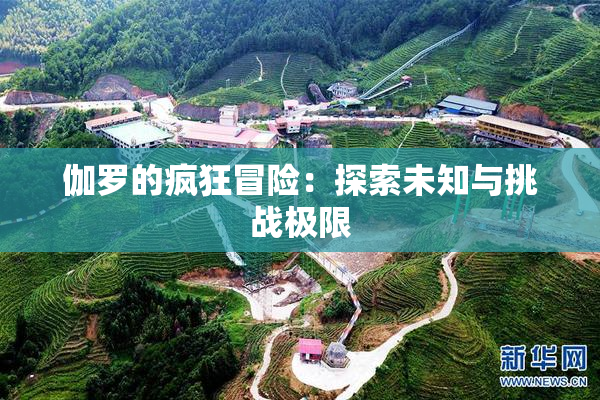 伽罗的疯狂冒险：探索未知与挑战极限