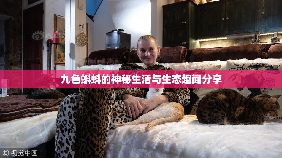 九色蝌蚪的神秘生活与生态趣闻分享