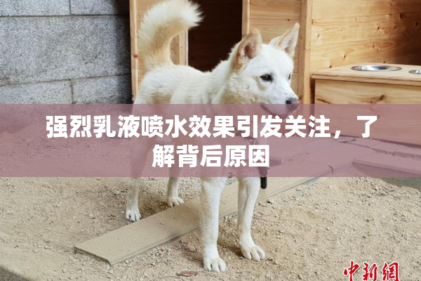 强烈乳液喷水效果引发关注，了解背后原因
